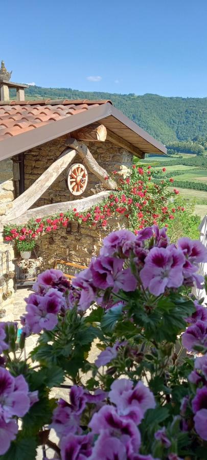 Bed and Breakfast Ca D' Fefi Gorzegno Exteriér fotografie